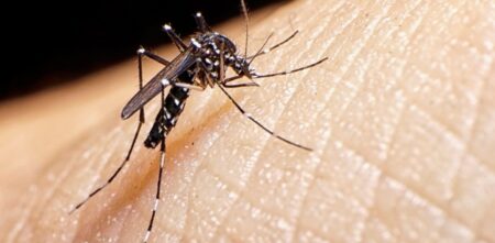 Procuraduría activa vigilancia especial por aumento de casos de dengue en Cundinamarca