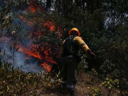 Continúa alerta ambiental en Colombia con 26 incendios forestales activos