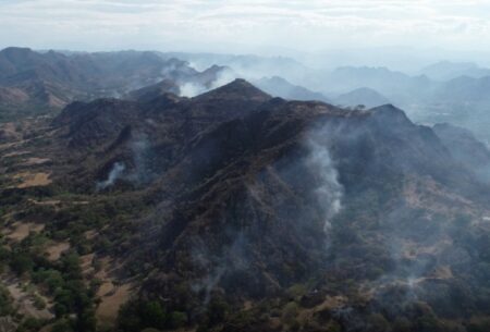 En Tolima alrededor de 30 municipios declararon alerta roja por riesgo de incendios forestales