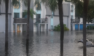 Florida tras el paso del huracán Milton  //Foto: AFP