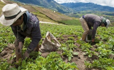 Economía creció menos de lo esperado pese al empuje de la agricultura