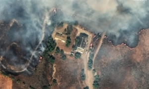 Incendio en Los Ángeles Foto: AFP