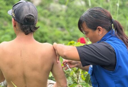 Dos muertos en 2025 por fiebre amarilla en el Tolima: amplían vacunación hasta los 69 años