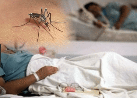 Barranquilla tiene más de 2.000 casos de dengue en 2025