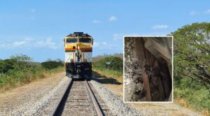 El lunes 8 de septiembre, se registraron nuevos atentados contra la línea férrea del Cerrejón, en La Guajira. Lo que se sabe es que, este nuevo hecho, se reportó en los kilómetros 40 y 67. La compañía confirmó que por fortuna no hubo personas heridas y rechazó de manera categórica los atentados. La compañía lamenta estos actos de violencia, que ponen en riesgo la vida de los trabajadores, comunidades, afectan la operación y generan consecuencias negativas para el desarrollo del departamento, dijo la empresa por medio de un comunicado. Cerrejón hizo un llamado urgente a las autoridades competentes para reforzar las acciones necesarias que prevengan la repetición de estos hechos. Es fundamental evitar que la violencia aumente, pues amenaza la seguridad, la paz y la estabilidad de la población, así como el desarrollo de La Guajira y el país.