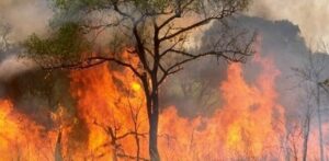 Seis municipios del Atlántico en alerta naranja por riesgo de incendios forestales