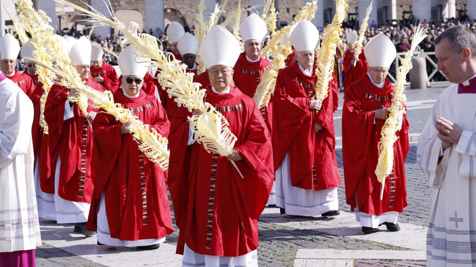 Papa León XIV pidió por la guerra en Irán en Domingo de Ramos: “¡Recuerden que son hermanos!” Papa León XIV pidió por la guerra en Irán en Domingo de Ramos: "¡Recuerden que son hermanos!"
