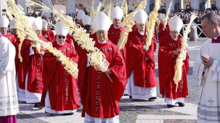 Papa León XIV pidió por la guerra en Irán en Domingo de Ramos: "¡Recuerden que son hermanos!"