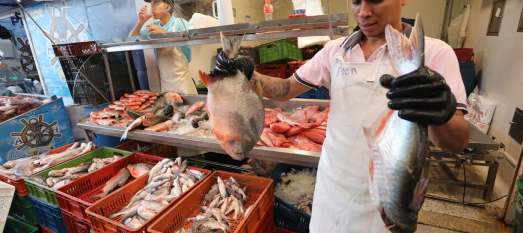 Colombianos aumentaron consumo de pescado en los últimos 10 años
